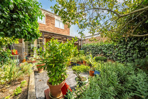 Rear garden- click for photo gallery